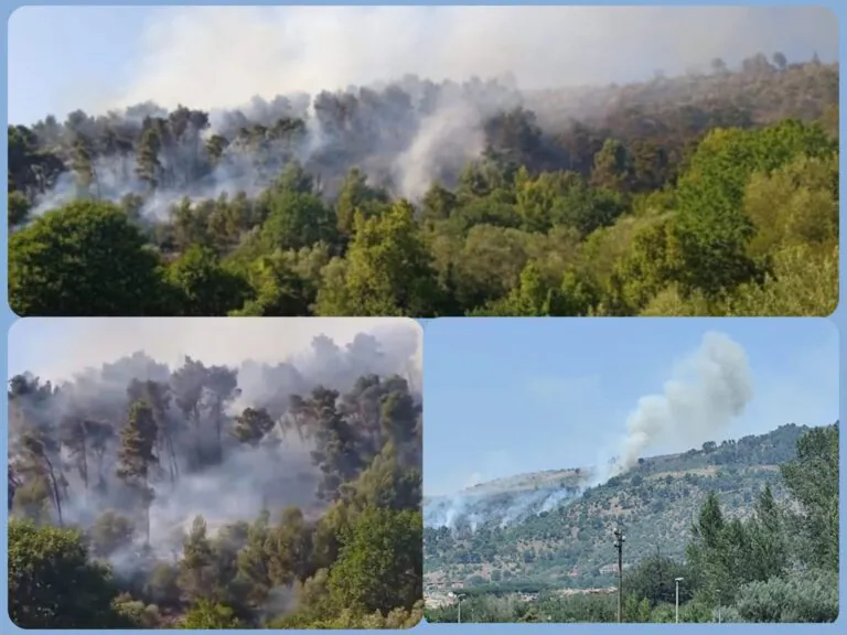 Tornano a bruciare le colline casertane, forze dell’ordine in azione