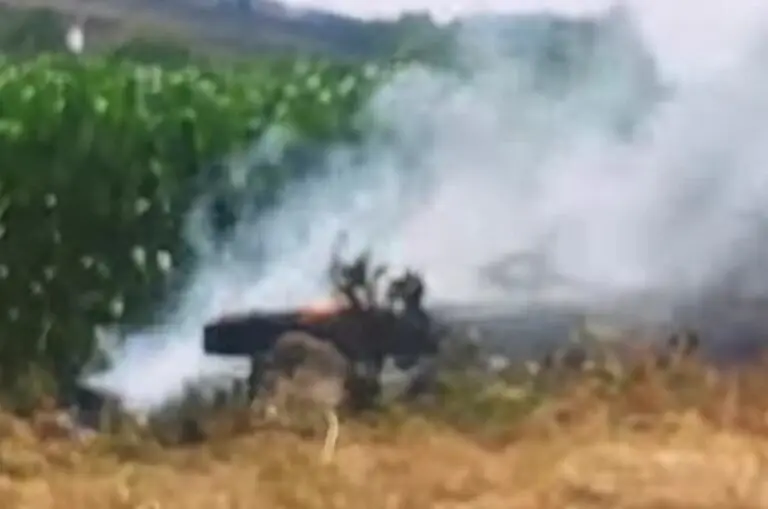 Tre roghi sul litorale in un solo giorno: Protezione Civile e pompieri in azione
