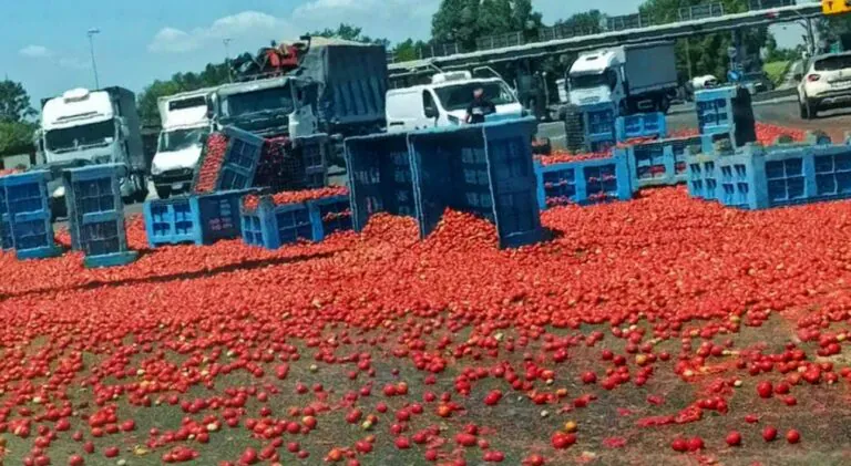 Tir perde carico di pomodori all’uscita dell’A30. Traffico in tilt