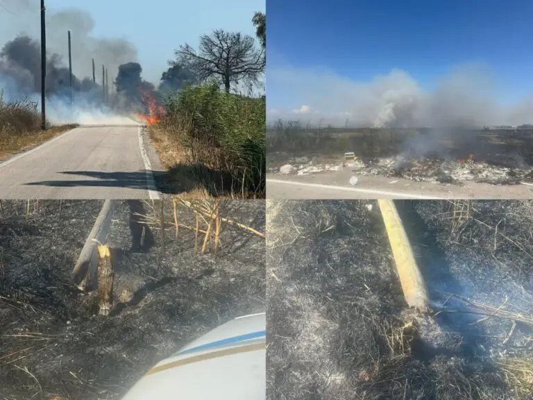 Scoppia vasto incendio sul litorale: abbattuti pali telefonici