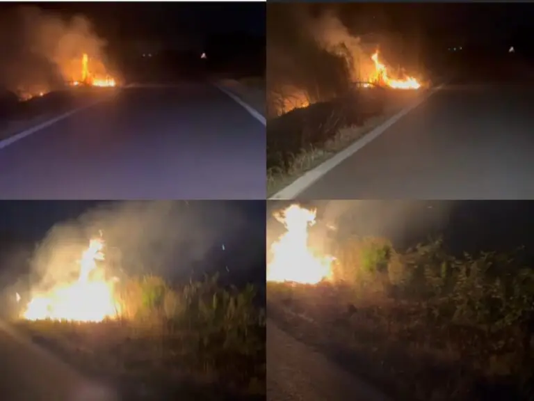Scoppiano vari roghi lungo la strada, Protezione Civile sul posto