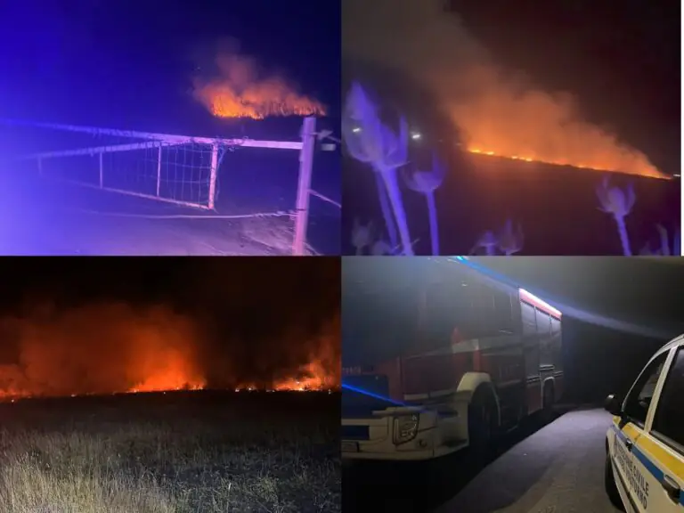 Nota Oasi di nuovo in fiamme: l’intervento dei pompieri e Protezione Civile