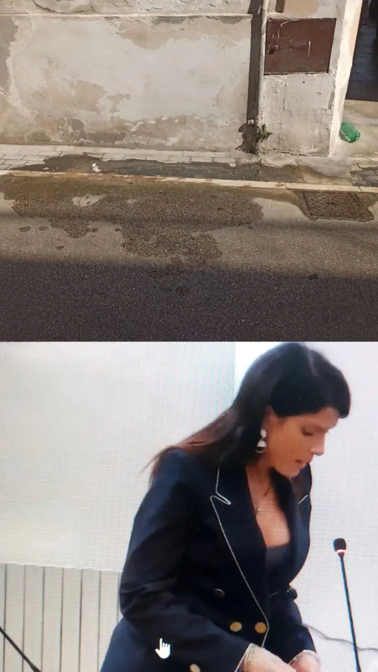 Perdita d’acqua in strada da 20 giorni: l’appello della Consigliera Cibelli