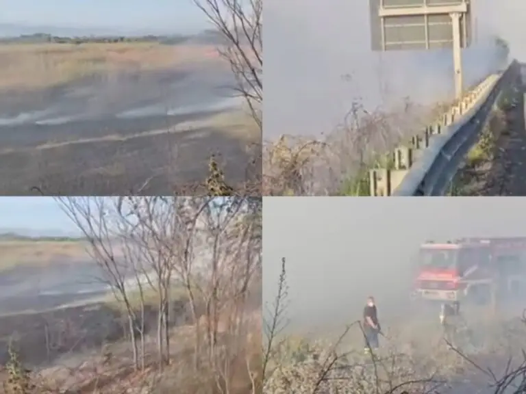 Maxi incendio nei pressi dello stradone: pompieri in azione