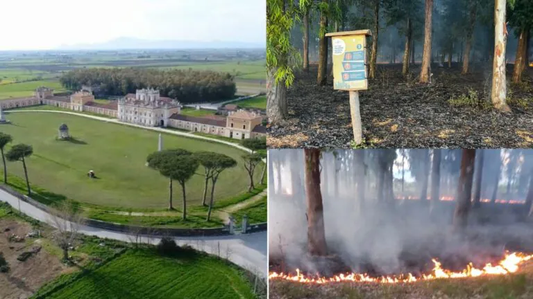Appiccato incendio al bosco degli Eucalipti della Reggia di Carditello