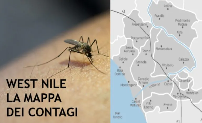 West Nile, contagio si allarga nel Casertano: 14 casi