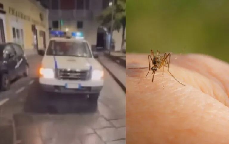West Nile, nuovo contagiato nel Casertano dopo sospetta meningite