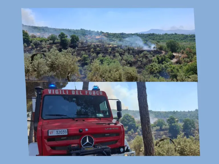 Cadavere fra le sterpaglie. Identificato dalle forze dell’ordine