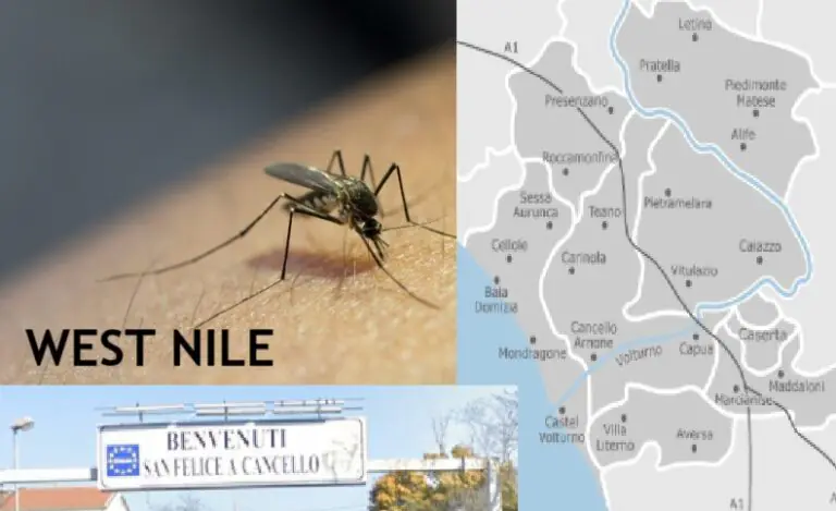 West Nile, nel Casertano 17 casi: contagi accertati nella Valle