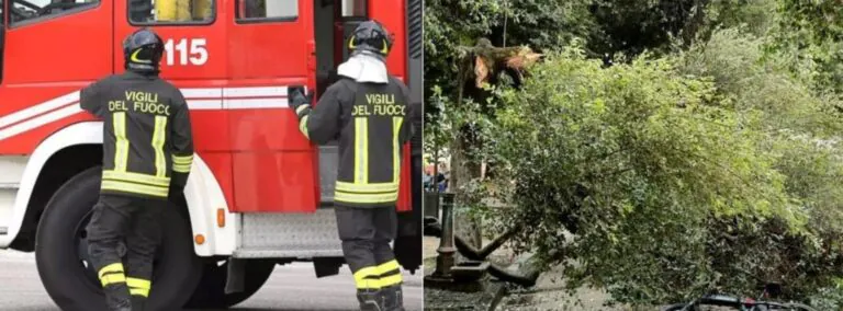 Camion finisce contro albero e lo fa cadere in strada: paura in piazza