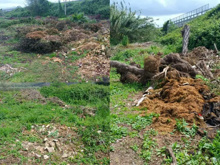 Discarica abusiva in area verde, dopo denuncia e sequestro torna a vivere