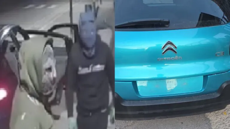 Banda dell’Audi assalta auto e asporta le targhe. Le possibili motivazioni