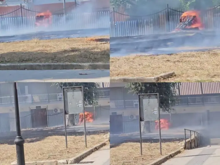 Paura nel noto parco: tronchi avvolti dalla fiamme