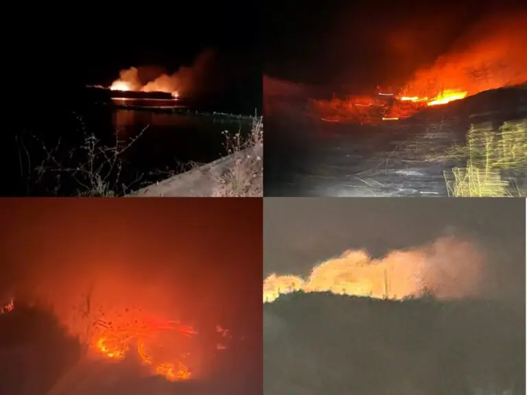 Vasto incendio sul litorale: Protezione Civile in azione