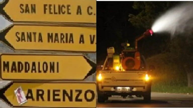 Disposto intervento di disinfestazione nel comune della Valle