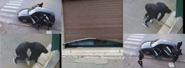 Assaltano la farmacia all’alba, messi in fuga dai vicini: “Ogni tre mesi la stessa storia”. Video
