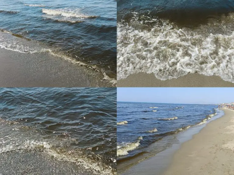 Mare si trasforma in melma, spiagge piene ma nessuno in acqua: “Immediati controlli”