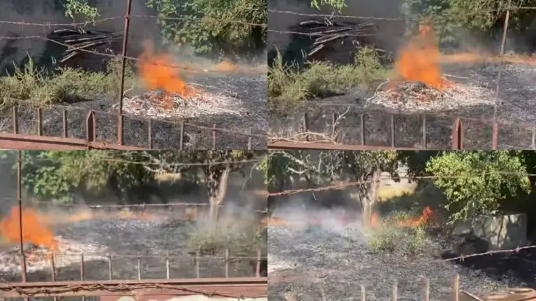 Rogo in un terreno della frazione, comune in cerca del proprietario