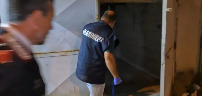 Sequestrati tre tabacchi di proprietà del clan: operazione Dda da un milione nel Casertano