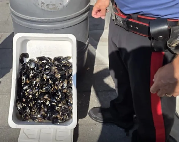 Ora è guerra ad ambulanti e cibo da strada: sequestrate cozze “da strada”