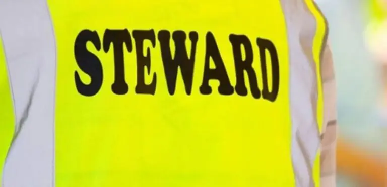 Si cercano steward da stadio: le info