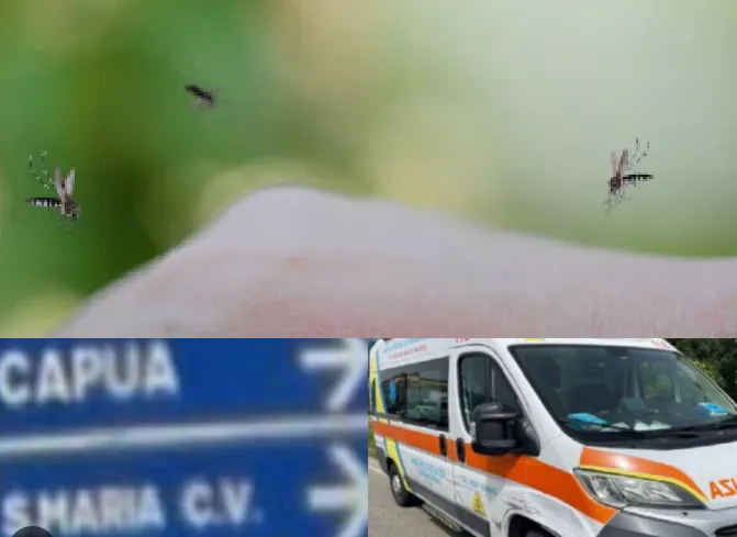 West Nile: altra vittima nel casertano. Era ricoverato da giorni