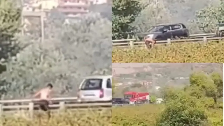 Giovane piromane fermato dalle autorità nei pressi della variante. Ecco cosa ha fatto