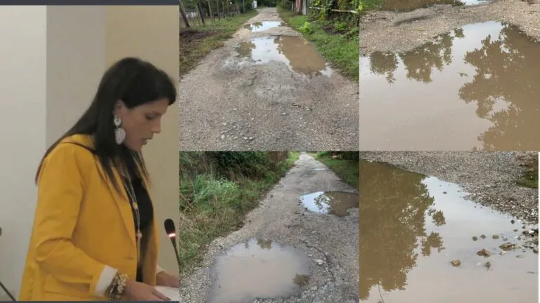 Strade impraticabili e buche dopo le forti piogge: l’appello della consigliera Cibelli