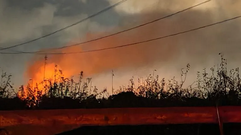Rogo tossico: rifiuti abbandonati bruciano in aperta campagna
