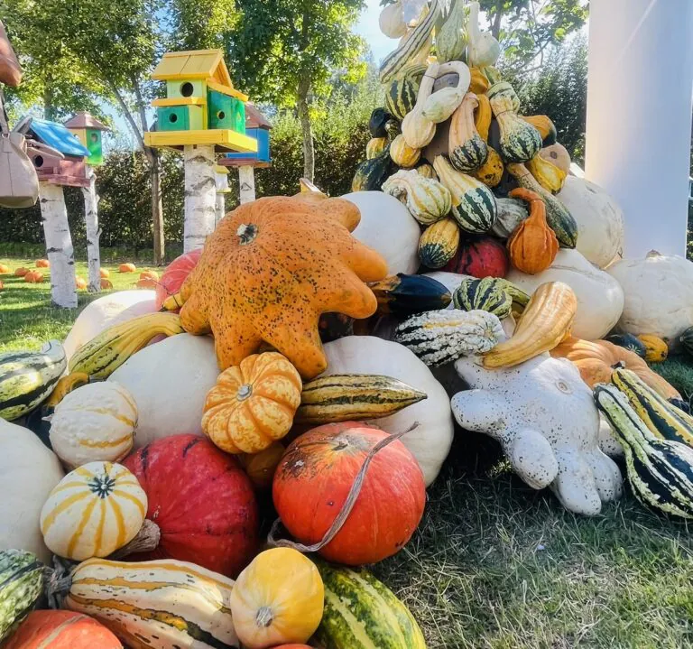 Il Giardino delle zucche: la nona edizione tra zucche, fiori e labirinti