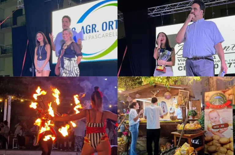 Promozione di arte e cultura del territorio: il San Felice Art Festival non è solo una festa