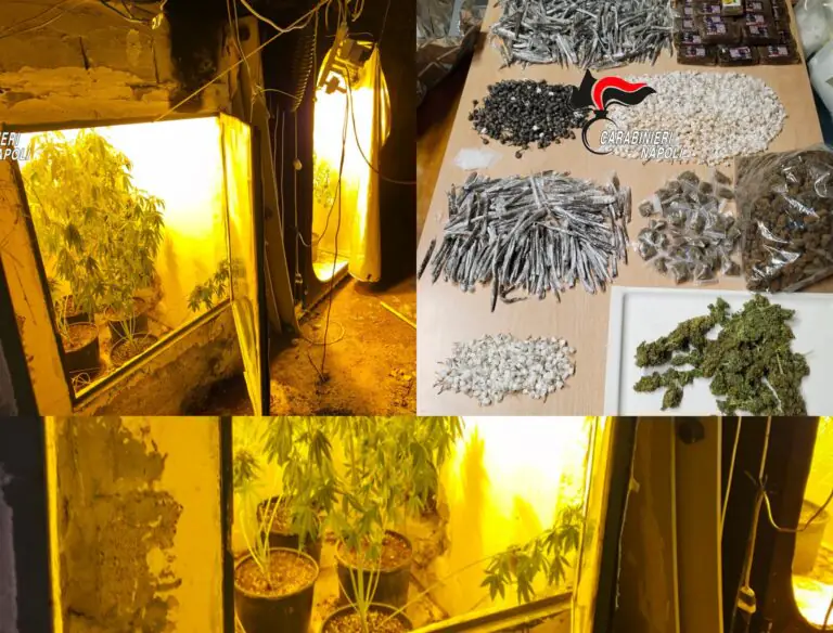 Pareti di casa nascondono 5 chili di droga, scoperta dopo blitz