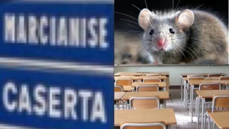 Scuola nel degrado e invasa da topi: studenti e genitori allo stremo