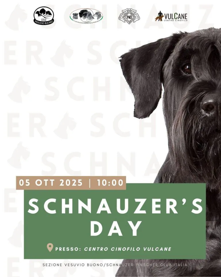 “Schnauzer’s day”: evento per promuovere razza canina in tutte le sue taglie e colori