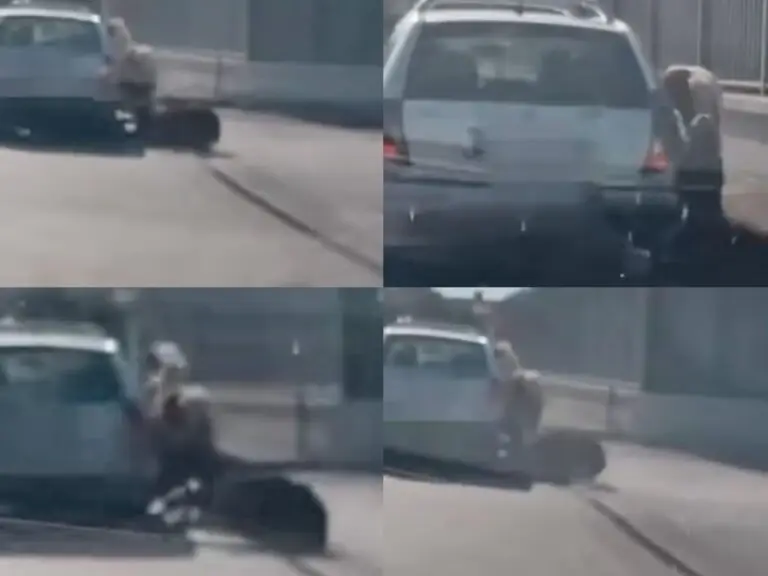 Cavallo legato ad un auto in corsa e trascinato sull’asfalto: “Sono mostri”