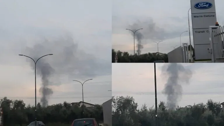 Scoppia incendio all’improvviso: nube di fumo sovrasta l’area