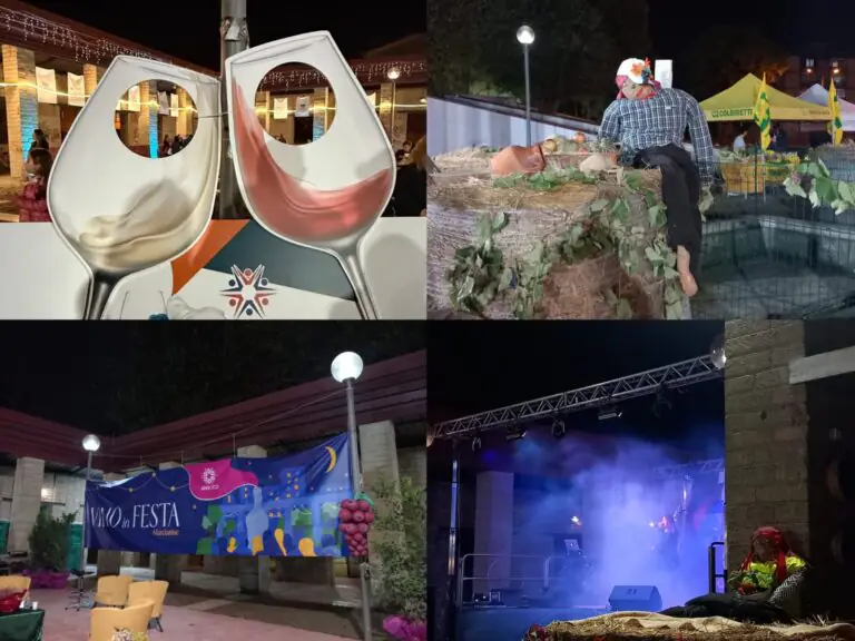 Bilancio positivo per la quinta edizione del ‘Vino in Festa’: tanti ospiti
