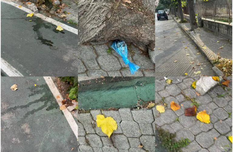 Zona residenziale nel degrado: urgono controlli e interventi al verde pubblico