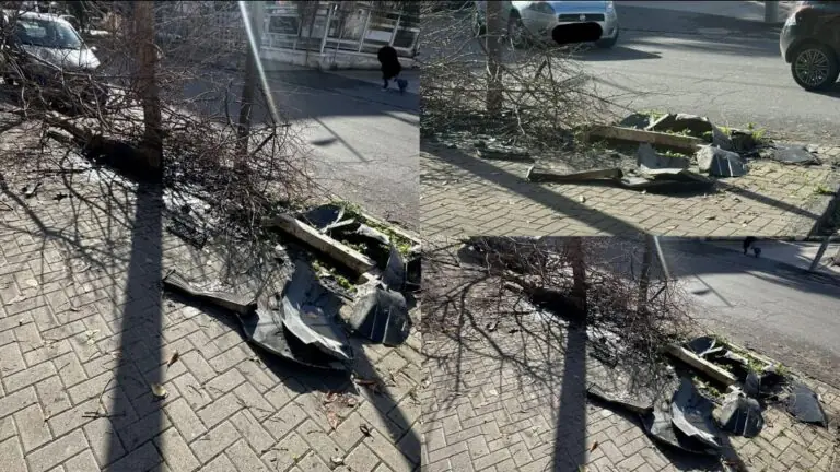 Sbanda con l’auto e finisce contro albero: paura per il conducente