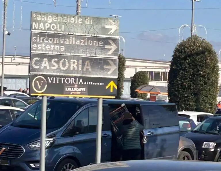 Si reca al centro commerciale e ruba carrello della spesa