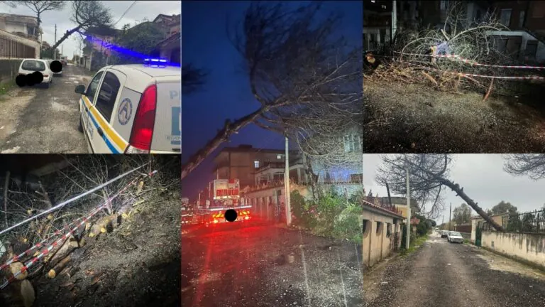 Pino cade sui cavi dell’alta tensione: Protezione Civile e pompieri sul posto
