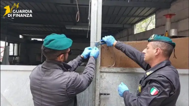 Sequestrato laboratorio clandestino della carne