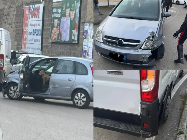 Tampona furgone, fugge finendo contro marciapiede e scappa a piedi lasciando il cane in auto