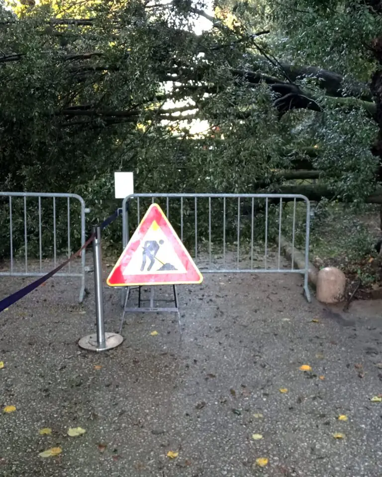 Albero cade nella Reggia, ingresso chiuso
