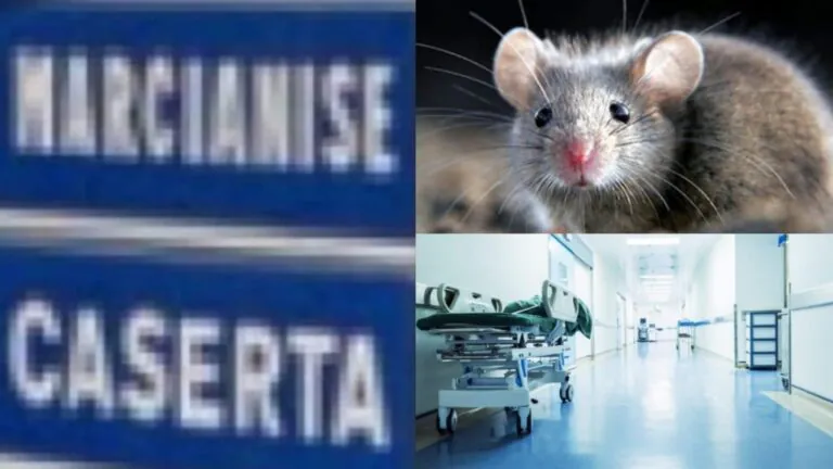Topi e rifiuti: degrado nei pressi dell’ospedale