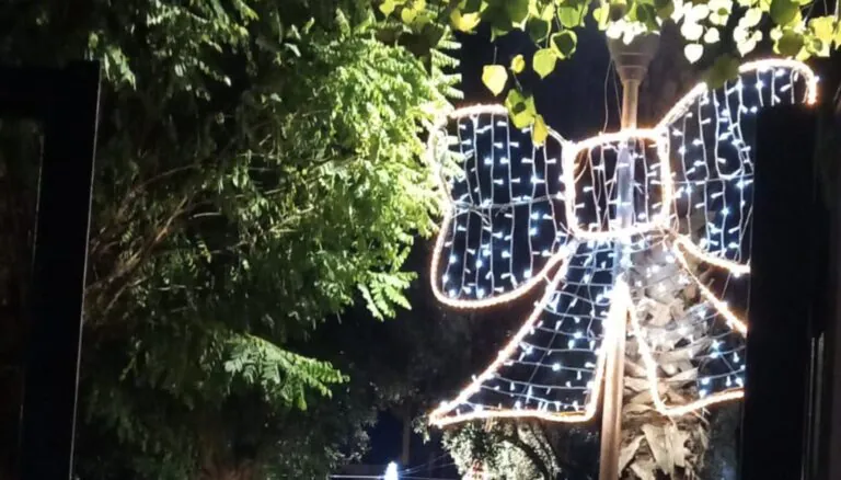 Rubano fiocco natalizio nel parco: “Gesto vile che colpisce la comunità”