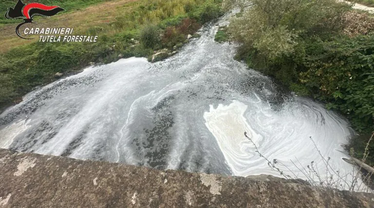 Schiuma bianca nel fiume, scoperto scarico abusivo di un caseificio