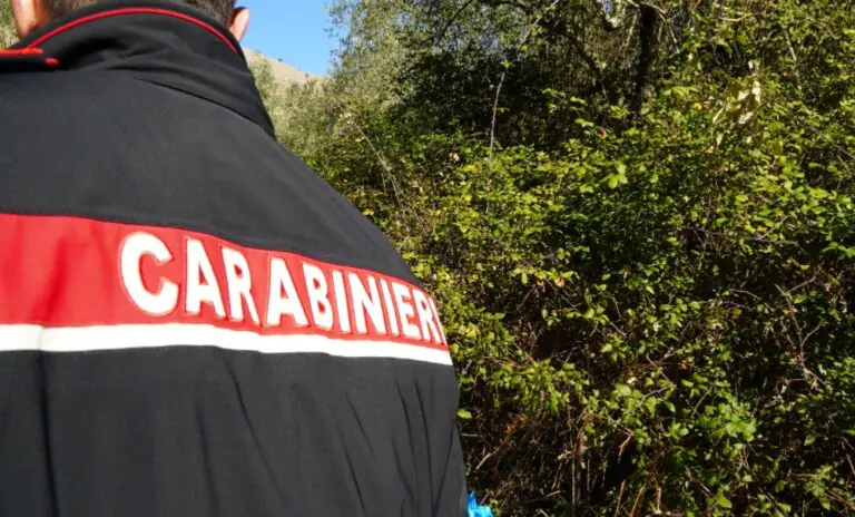 Blitz sulla Provinciale, ecco cosa spunta tra la vegetazione