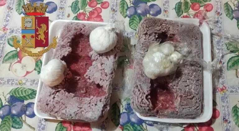 Mezzo chilo di hashish nascosto nella carne
