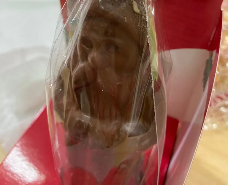 Babbo di Natale di cioccolato con le larve all’interno in una scuola del Casertano